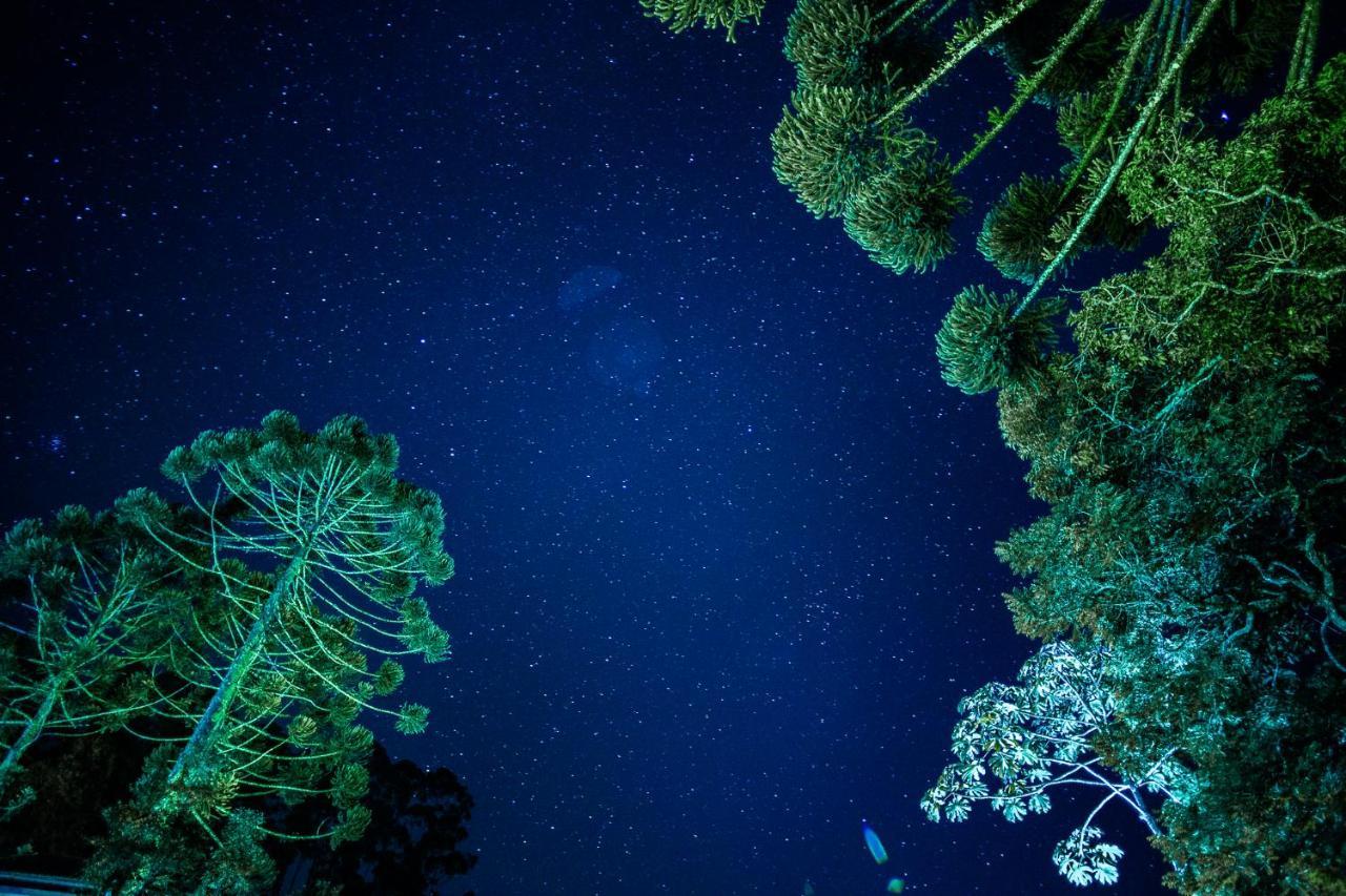 Sitio Das Hortensias Chales Conceição da Ibitipoca Bagian luar foto